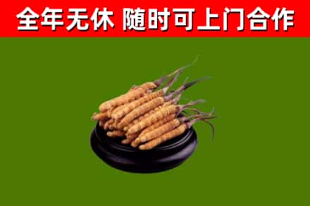 万秀烟酒回收冬虫夏草.jpg